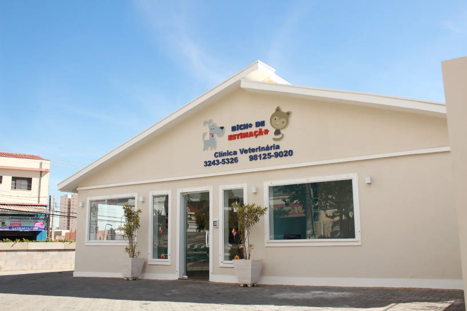 Cardiologia Veterinária em Campinas - Clínica Bicho de Estimação Jardim Chapadão