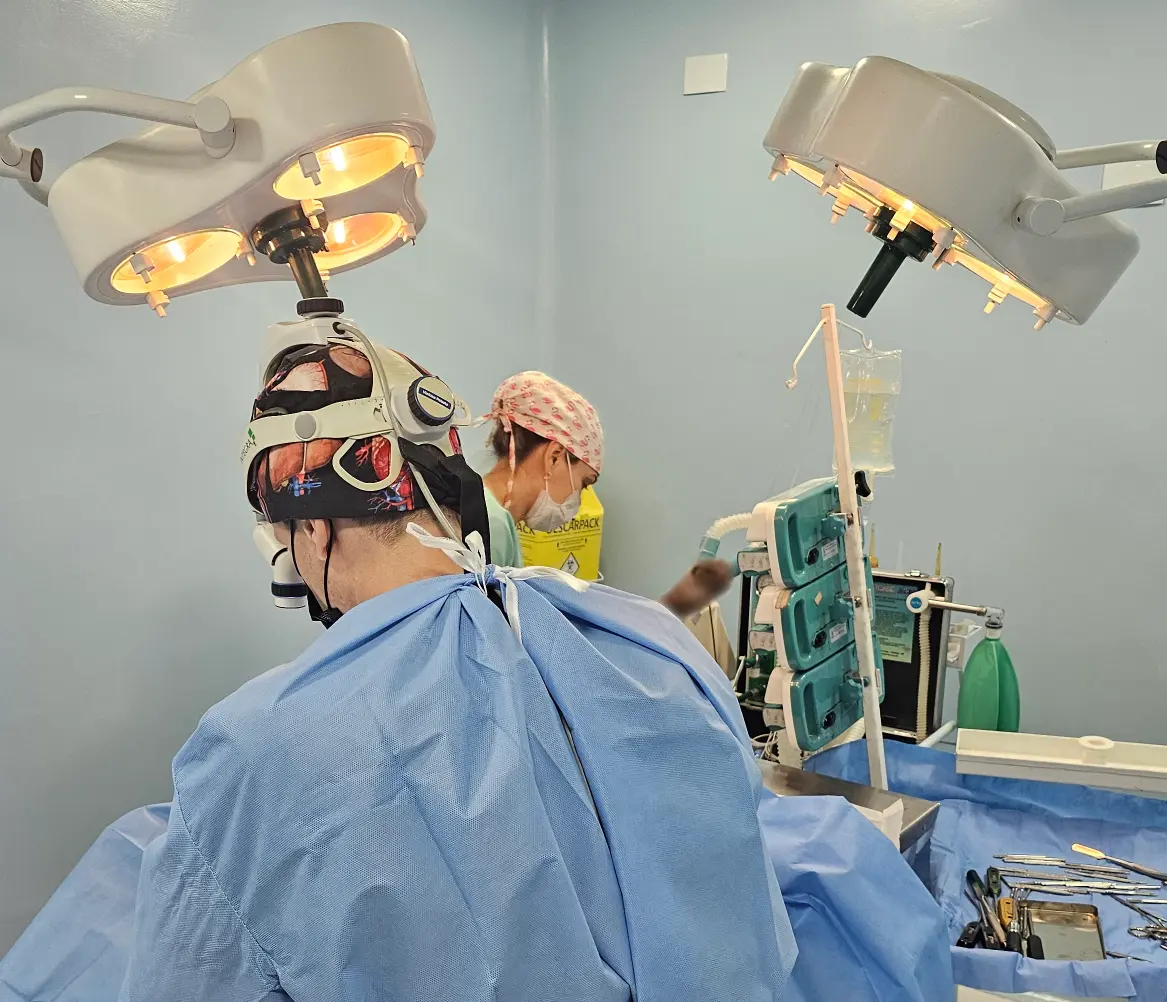 Cirurgia Odontológica Veterinária em Campinas - Clínica Bicho de Estimação Jardim Chapadão