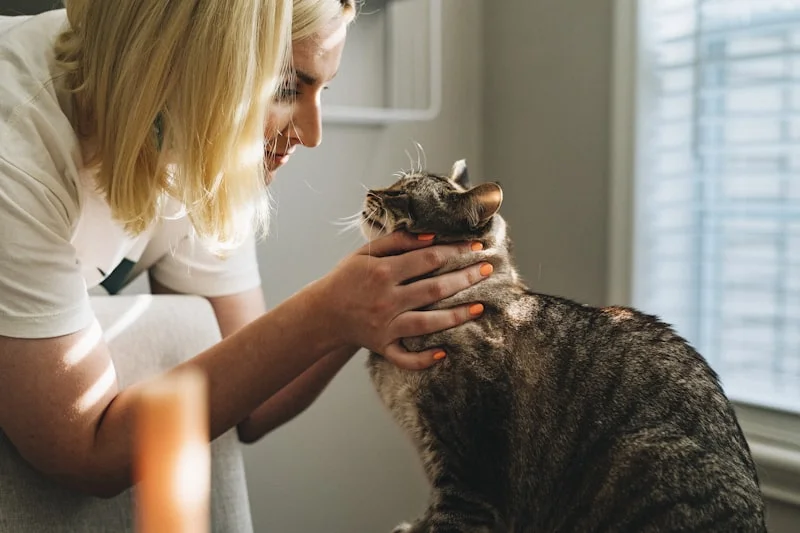 Endocrinologia Veterinária em Campinas - Clínica Bicho de Estimação Jardim Chapadão
